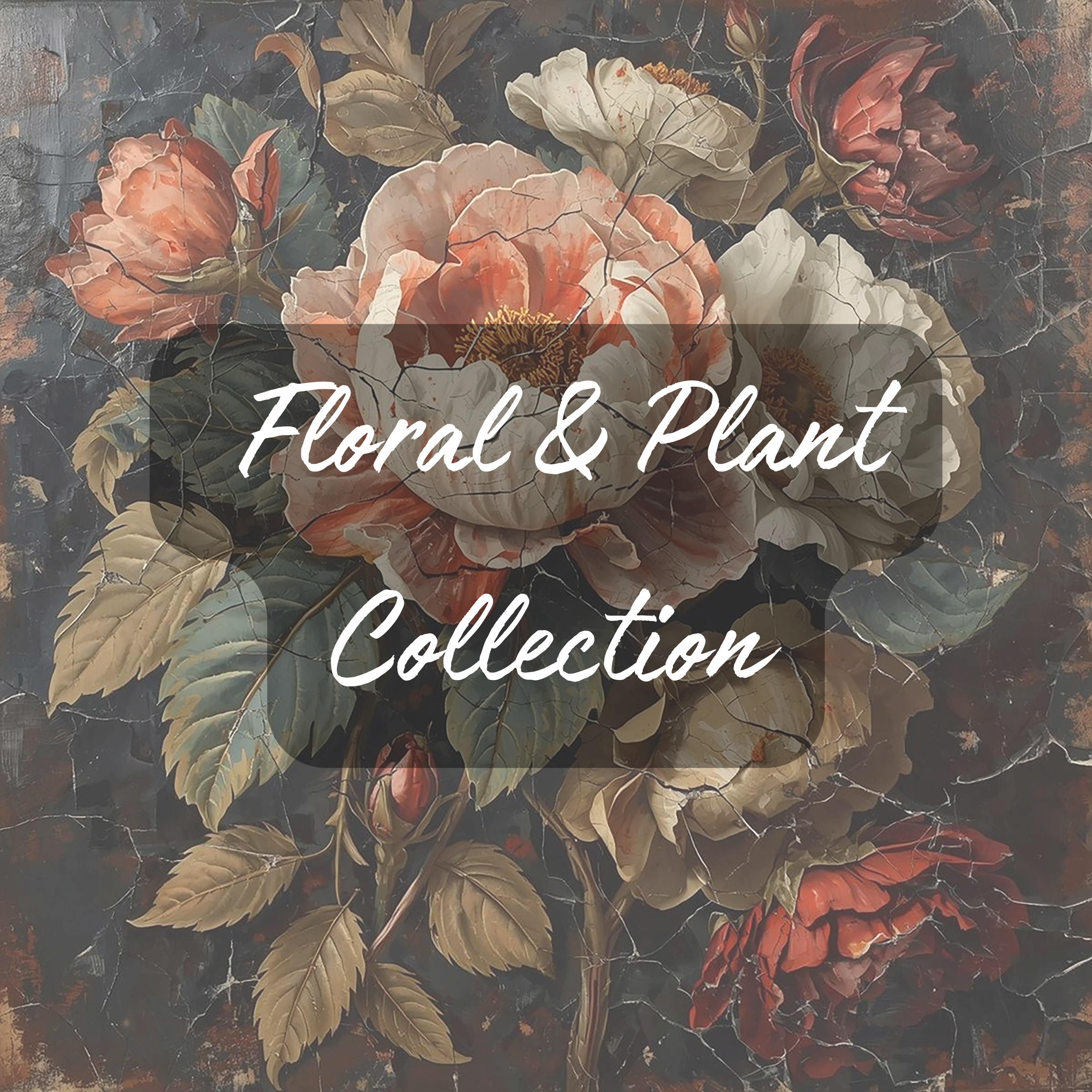 Floral & Plant Collection