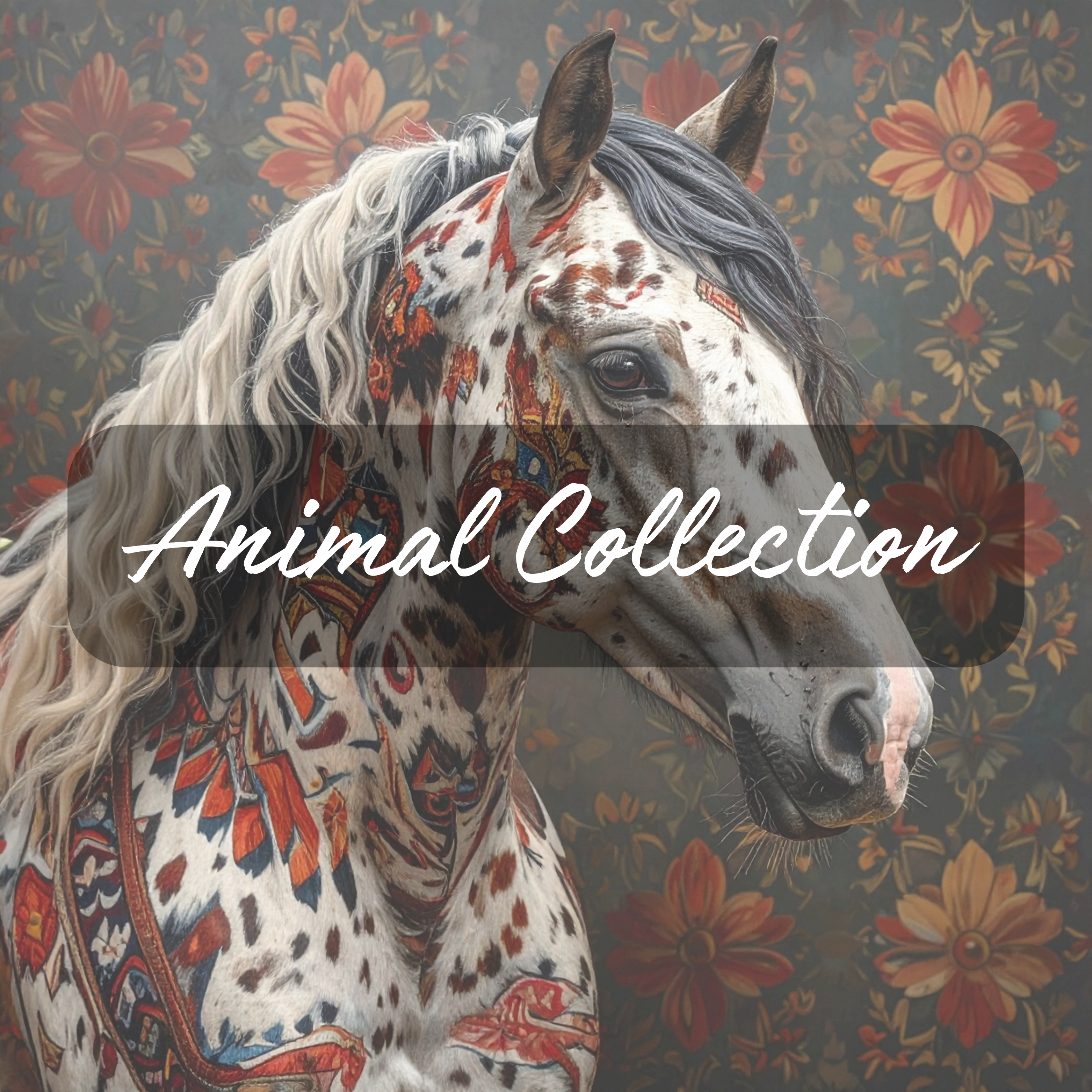 Animal Collection