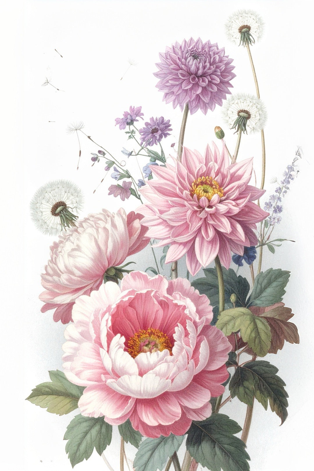 Floral 244