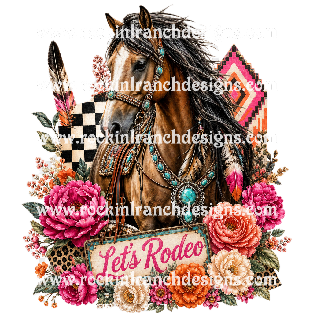 Rockin’ Cowgirl Let’s Rodeo 1