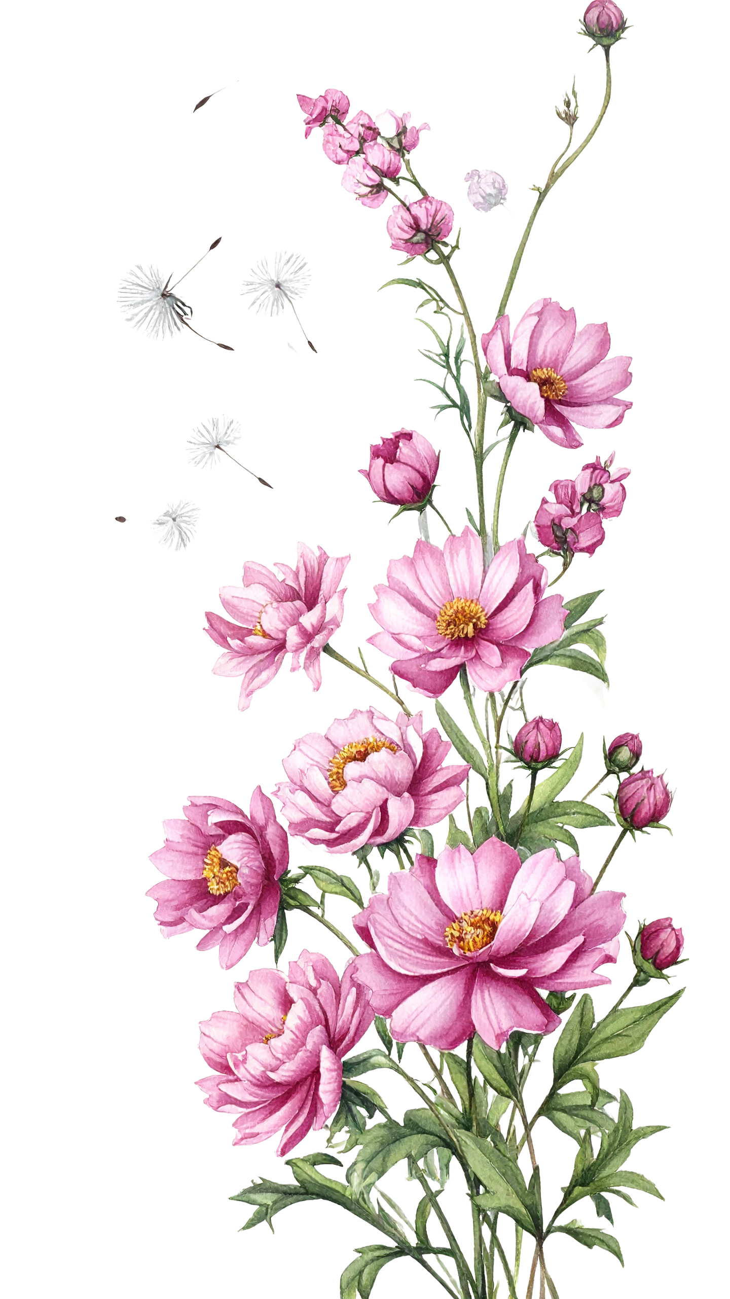 Floral 839