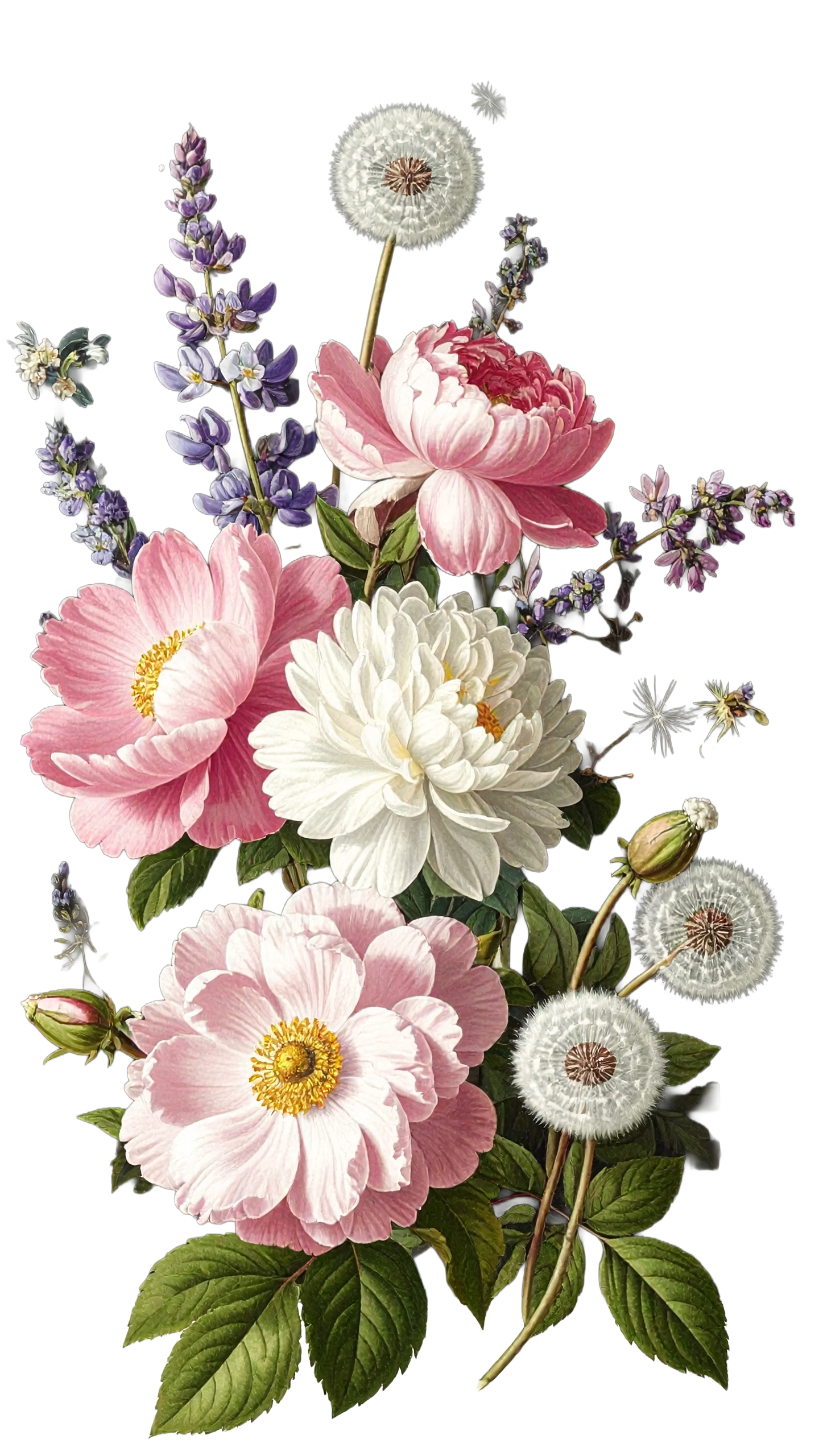 Floral 967