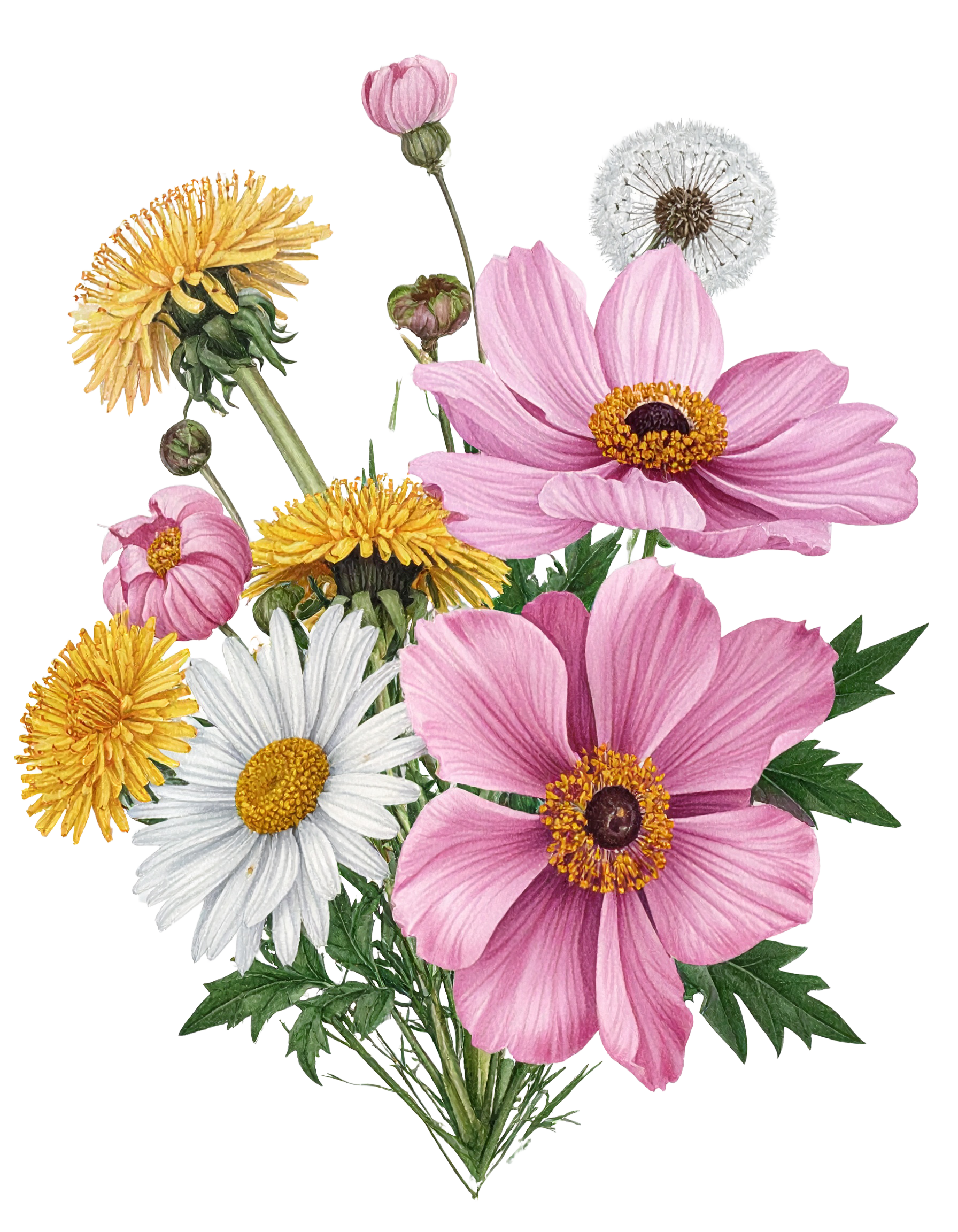 Floral f692